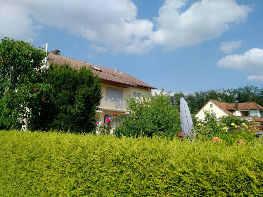 Perfekte Einsteigerimmobilie / 3-Zimmer Dachgeschosswohnung in Mochenwangen, 88284 Wolpertswende-Mochenwangen, Dachgeschosswohnung