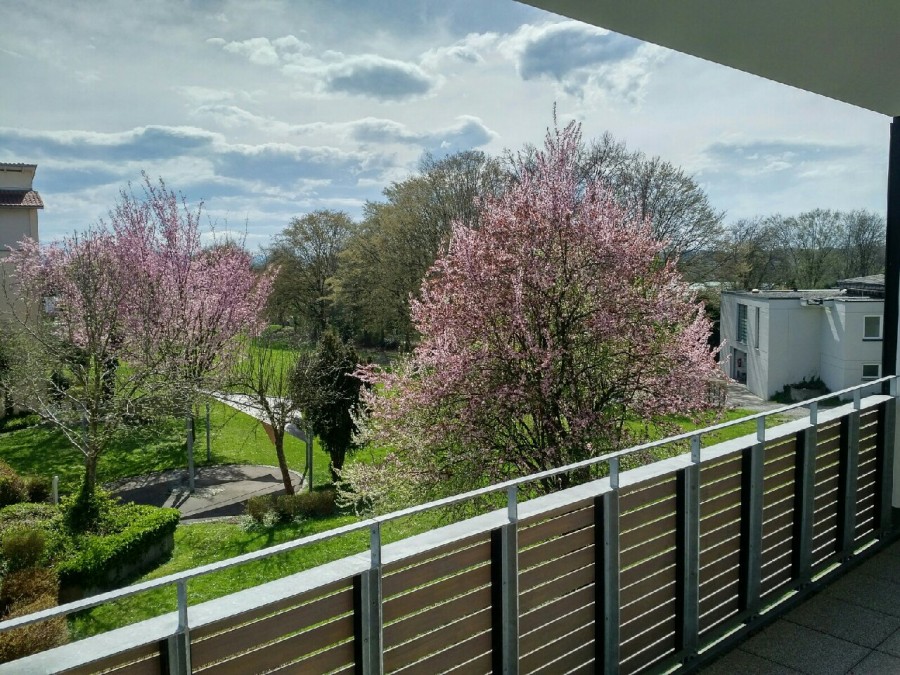 3-Zimmerwohnung mit schönem Südbalkon mitten in Ailingen, 88048 Friedrichshafen (Ailingen), Etagenwohnung